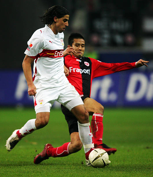 郑钦文的晋 郑钦文的晋